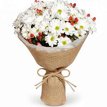 Букет цветов из:  Хризантемы #REPLACE_PRED# Натырбово